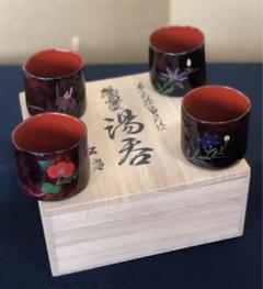 専用です 輪島塗 木製 草花金蒔絵 黒塗椀 十客 木箱 福寿草 南天 MA31 輪島塗 草花絵替蒔絵 湯呑4客 木製漆器 木箱 250731F3 - メルカリ