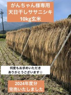 がんちゃん様専用☆天日干しササニシキ10kg玄米☆ - メルカリ