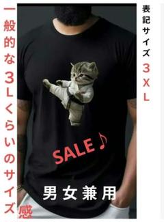 新品♪猫の空手着姿のプリントＴシャツ おもしろＴシャツ ３Ｌ