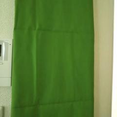 オックス地 115cm×200cm グリーン系黄緑