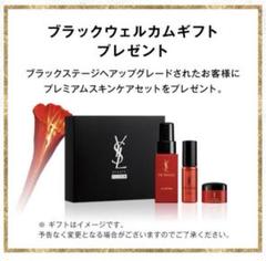 2025年最新】イヴ・サンローランブラック会員限定の人気アイテム