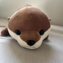 カワウソ　ぬいぐるみ　特等　アトア水族館 劇場型アクアリウム「átoa（アトア）」 オープンに先駆けて公式