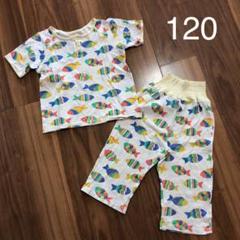 【お値下げ】コンビミニ パジャマ お魚 120 半袖