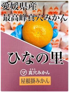 ひな の 里 フルーツ