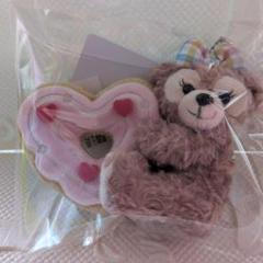 お顔厳選♡　フィルドウィズジョイ　ぬいぐるみバッジ　7点セット♡ ダッフィー &フレンズ フィルド・ウィズ・ジョイ ぬいぐるみ