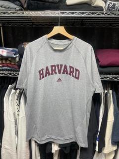 【即発】アディダス　adidas　半袖　Tシャツ　M　カレッジT　OP109