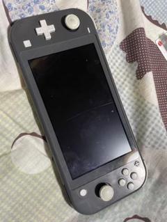 2025年最新】nINTENDO switch lite 本体 ジャンクの人気アイテム