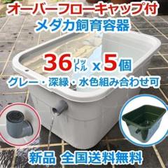 メダカ飼育ケース【36㍑グレー等 5個 オーバーフローキャップ付