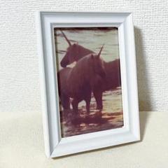 フォトフレーム　写真立て　シンプル　ホワイト　L版