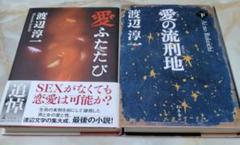 渡辺淳一の愛の流刑地 下と愛 ふたたびの2冊セット