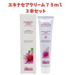 【新品未使用　おまけ付き】アルジタルインテンシブエキナセアクリーム　75ml×3 Amazon | アルジタル(ARGITAL) インテンシブ エキナセアクリーム