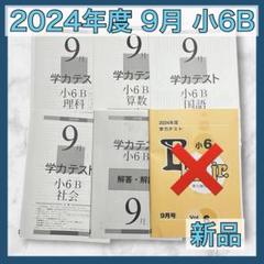 2024年度 小6 学力テスト 4科目 6回分 育伸社 育伸社 2024年 小6 学力テスト安い