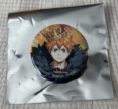 ハイキュー fan park ファンパーク ハイドリ 缶バッジ 日向翔陽