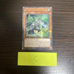 ☆早い者勝ち☆遊戯王【風霊媒師ウィン】25thSE・EXSE 3枚セット