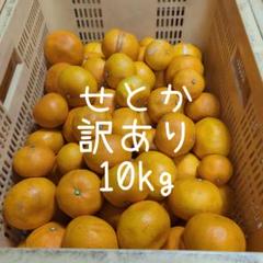 送料無料 通販 激安 2025年最新】せとか みかん 10kgの人気アイテム - メルカリ 果物