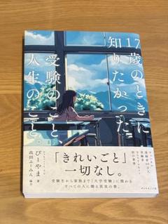 17歳のときに知りたかった受験のこと、人生のこと。　びーやま
