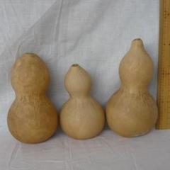 期間限定値引✨【訳あり】乾燥ひょうたん84個　ハンドメイド　工作素材クラフト大量 2025年最新】乾燥瓢箪の人気アイテム - メルカリ