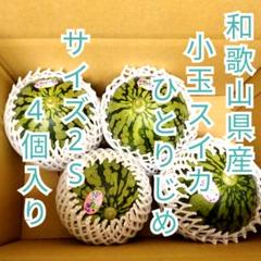 和歌山県産　小玉スイカ　ひとりじめ　サイズ2S 4個入り　小さい　㋭のサムネイル