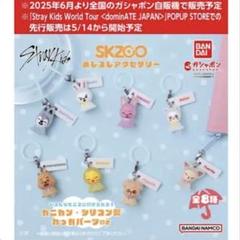 2025年最新】SKZOO キーリングの人気アイテム - メルカリ