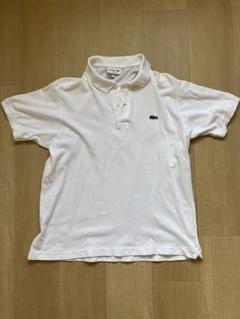 LACOSTE ポロシャツ ホワイト サイズ4 ＆ LACOSTE ホワイト ポロシャツ サイズ6 - メルカリ