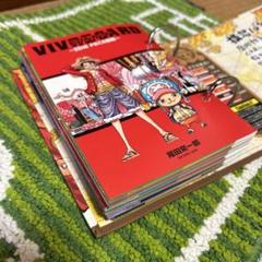 早い者勝ち‼️ONE PIECE イラスト集