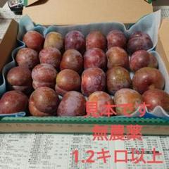 お値下げ中！！すもも 鹿児島産 5キロ お値下げ中！！すもも 鹿児島産 5キロ - メルカリ