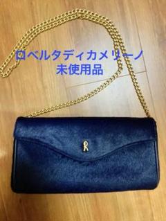 T11/041RobertadiCamerinoロベルタディカメリーノ クラッチ