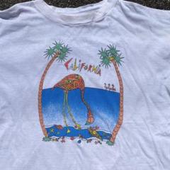 90s California Tシャツ フラミンゴ USA製 シングルステッチ