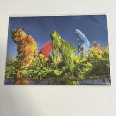 BIALYSTOCKS/ TIDE POOL 【新品レコード】 Amazon.co.jp: Tide Pool: ミュージック