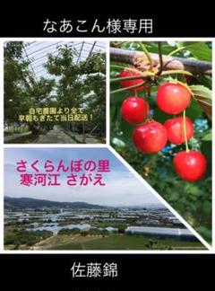 なあこんさま専用 佐藤錦
