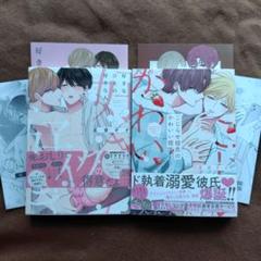 BL 漫画 26冊セット 2025年最新】BLコミックせっとの人気アイテム - メルカリ