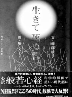 生きて死ぬ智慧 心訳・般若心経