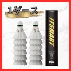 Amazon | バドミントン 中古シャトル 120個 頑張らない
