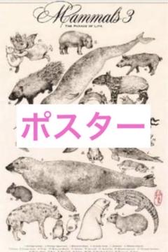 新品未開封】ヒグチユウコポスター【国立科学博物館特別展、大
