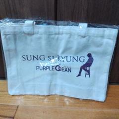 SUNG SI KYUNG PURPLE OCEAN バッグ