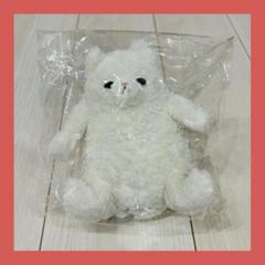 2025年最新】JELLY cat amoreの人気アイテム - メルカリ