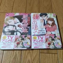 完璧御曹司の結婚命令　君と出逢って