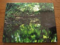 Water Mirror 鈴木理策 Risaku Suzuki 直筆サイン入 - メルカリ