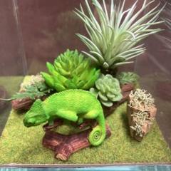 イグアナ　コンパクトジオラマセット