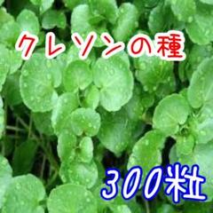 ベトナム クレソン 300粒