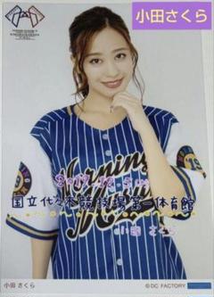 モーニング娘。'25 小田さくら 日替わりA5ワイド写真 2019 秋