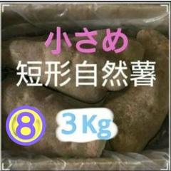 天然自然薯　(折れ)　1・3kg 天然自然薯『生とろろパック』150g | 天然自然薯専門店 ハート