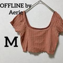 ✨️海外古着✨️OFFLINE by Aerie 【Ｍ】ピンク クロップドTシャツ