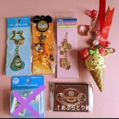 ディズニーリゾート グッズまとめ売り バッグチャーム