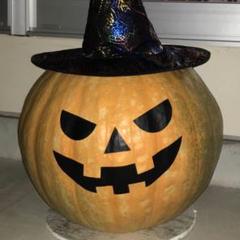 ハロウィンカボチャの種 16粒
