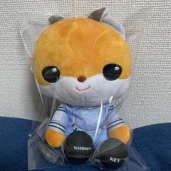 SHINee オニュ ぬいぐるみ 40cm SHINee オニュ ミニジンモギ 2025 ONEW THE LIVE CONNECTION
