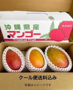 摘果マンゴー　15kg クール便発送！ 訳ありミニマンゴー クール便発送！ - メルカリ