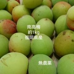 梅 手作り うめ 無農薬 梅干し 1kg