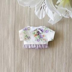 ［l16 ］10センチ ぬい服