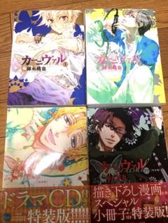 【初版帯付き多数】カーニヴァル 　全30巻　おまけ付き 初版帯付き多数】カーニヴァル 全30巻 おまけ付き